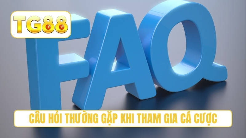 Câu hỏi thường gặp khi tham gia cá cược
